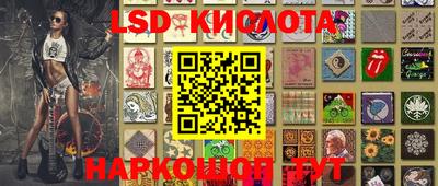 бошки Сланцы