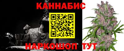 бошки Сланцы